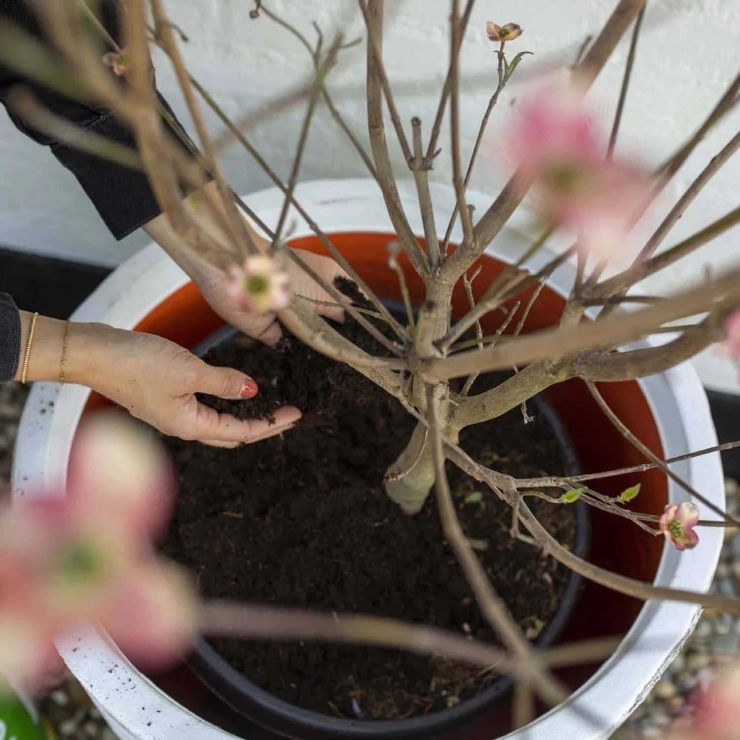 Кашпо CAPI RIB NL 58