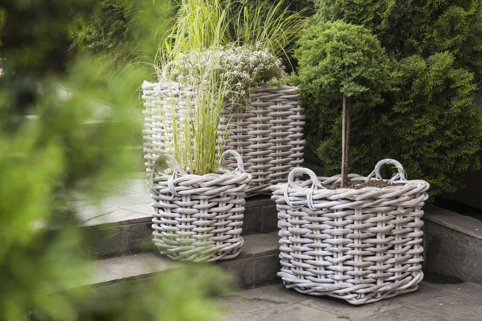 Корзина из ротанга NARBONNE