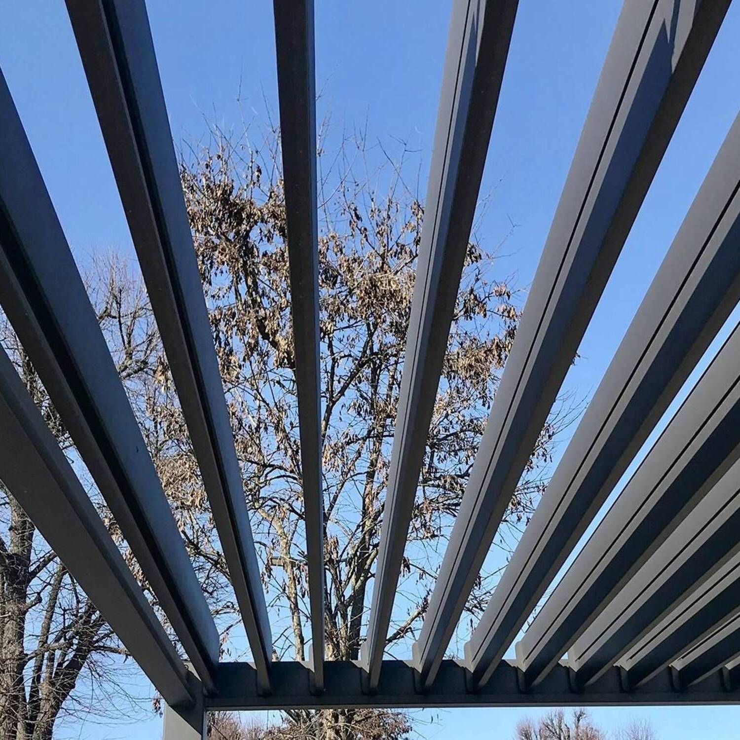 Пергола для террасы PERARA 6x3 Antracite