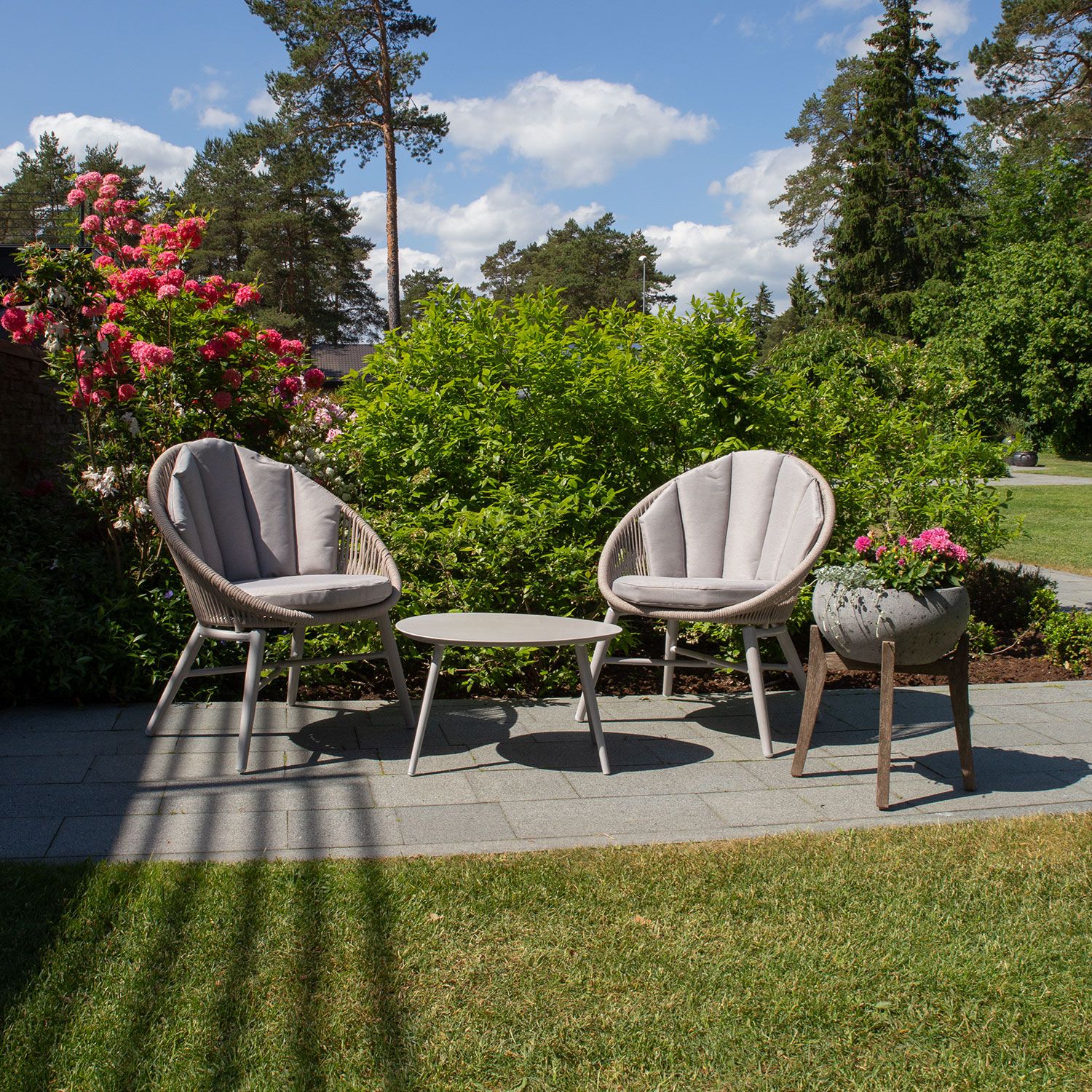 Комплект SHELLY