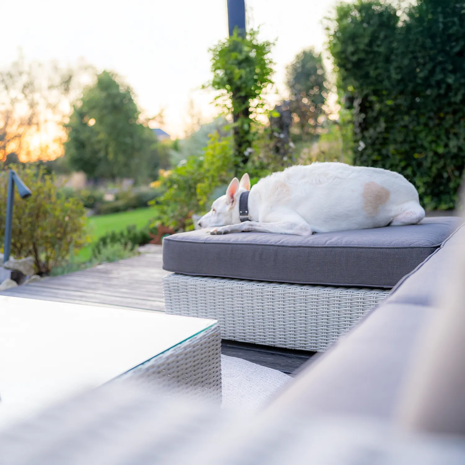 Угловой диванный комплект MILANO I Белый